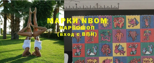 индика Армянск