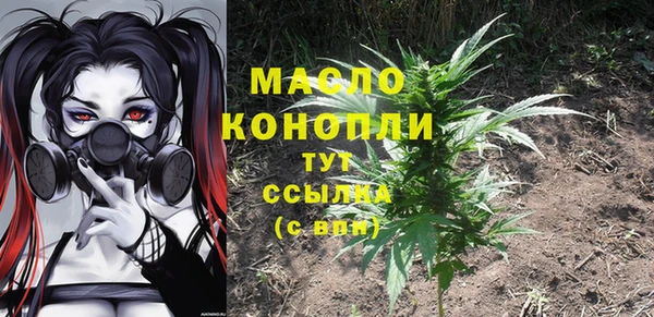 индика Армянск