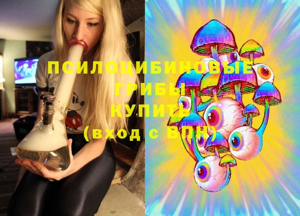 метадон Сатка