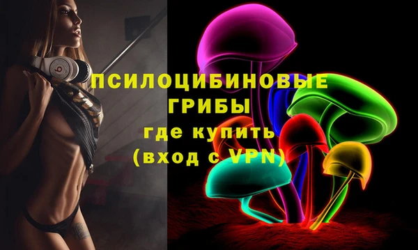 индика Армянск